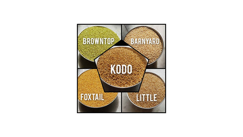 Siridhanyalu Millets
